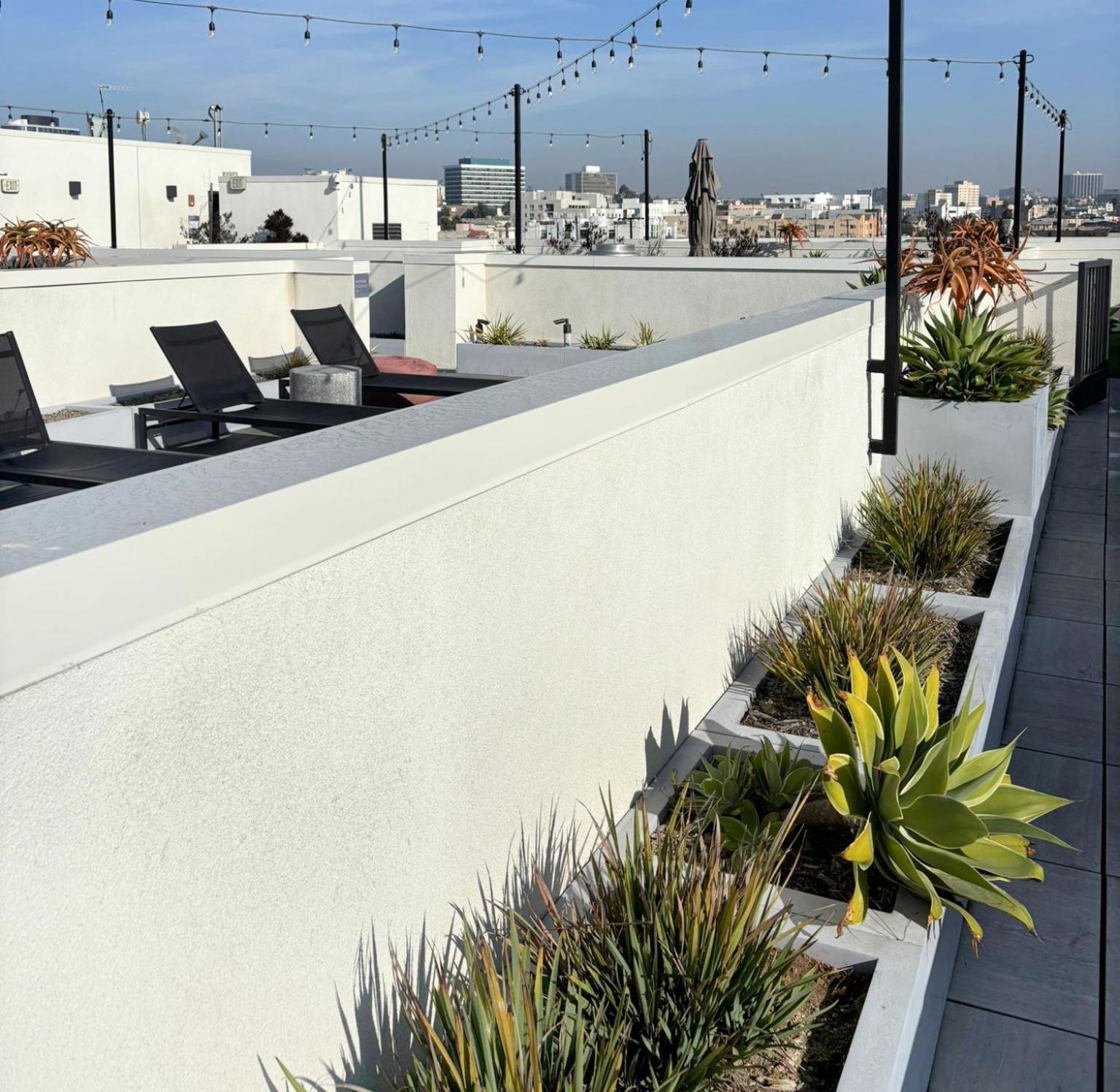 Dream Escape With Great Rooftop Views Los Angeles Eksteriør bilde